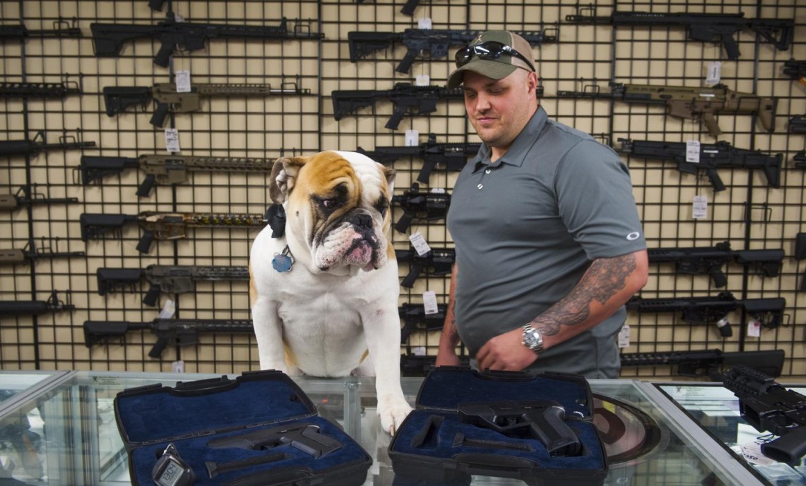 Brutus, the shop dog at Engage Armaments in Rockville, Maryland, sits next to some Armatrix iP1s, a smart gun his owner decided to not sell after being threatened with arson. KATHERINE FREY/THE WASHINGTON POST/GETTY